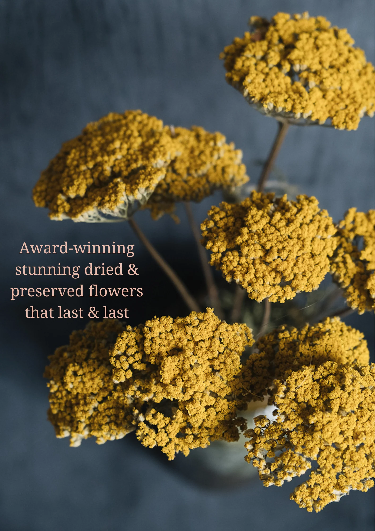 Timeless Blooms for Every Space