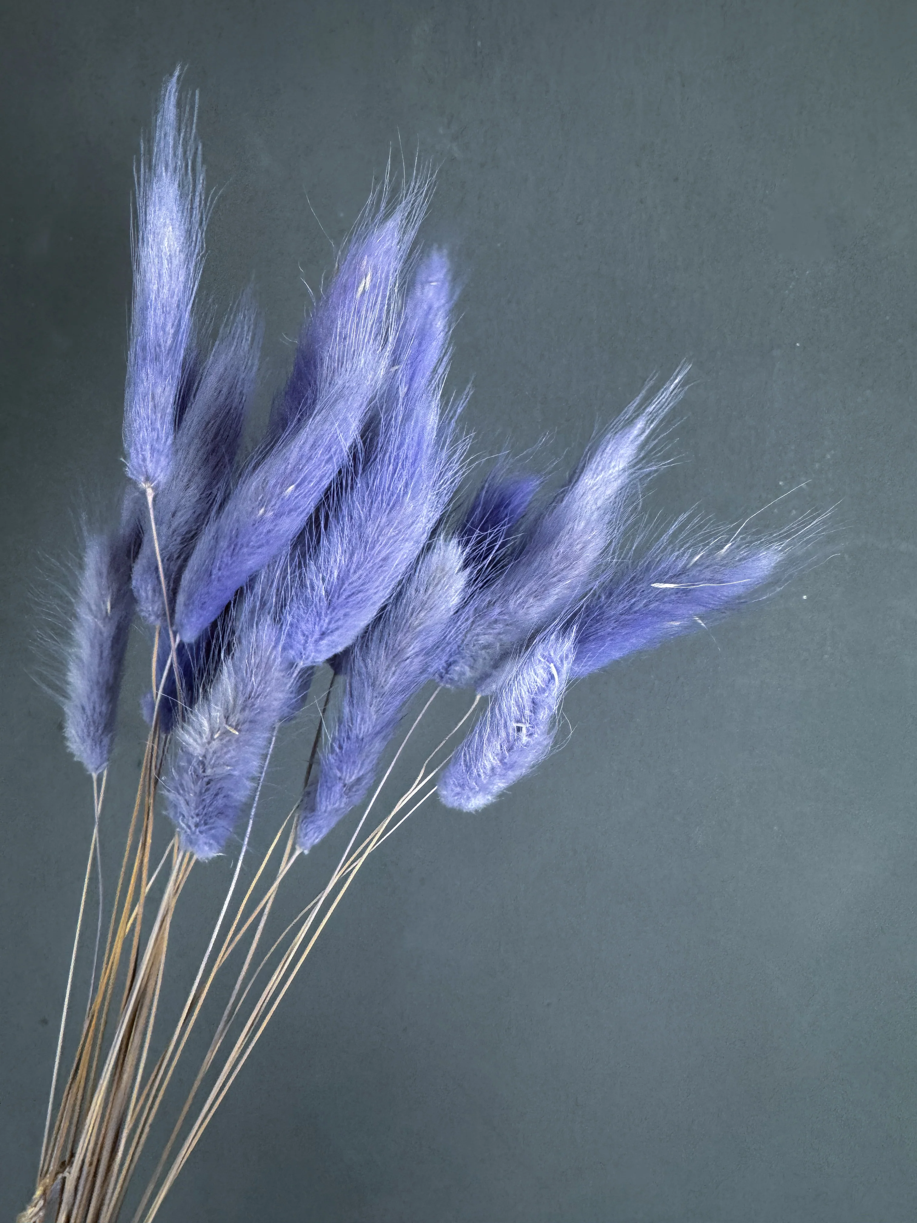 Bunny tails - purple - Image 3
