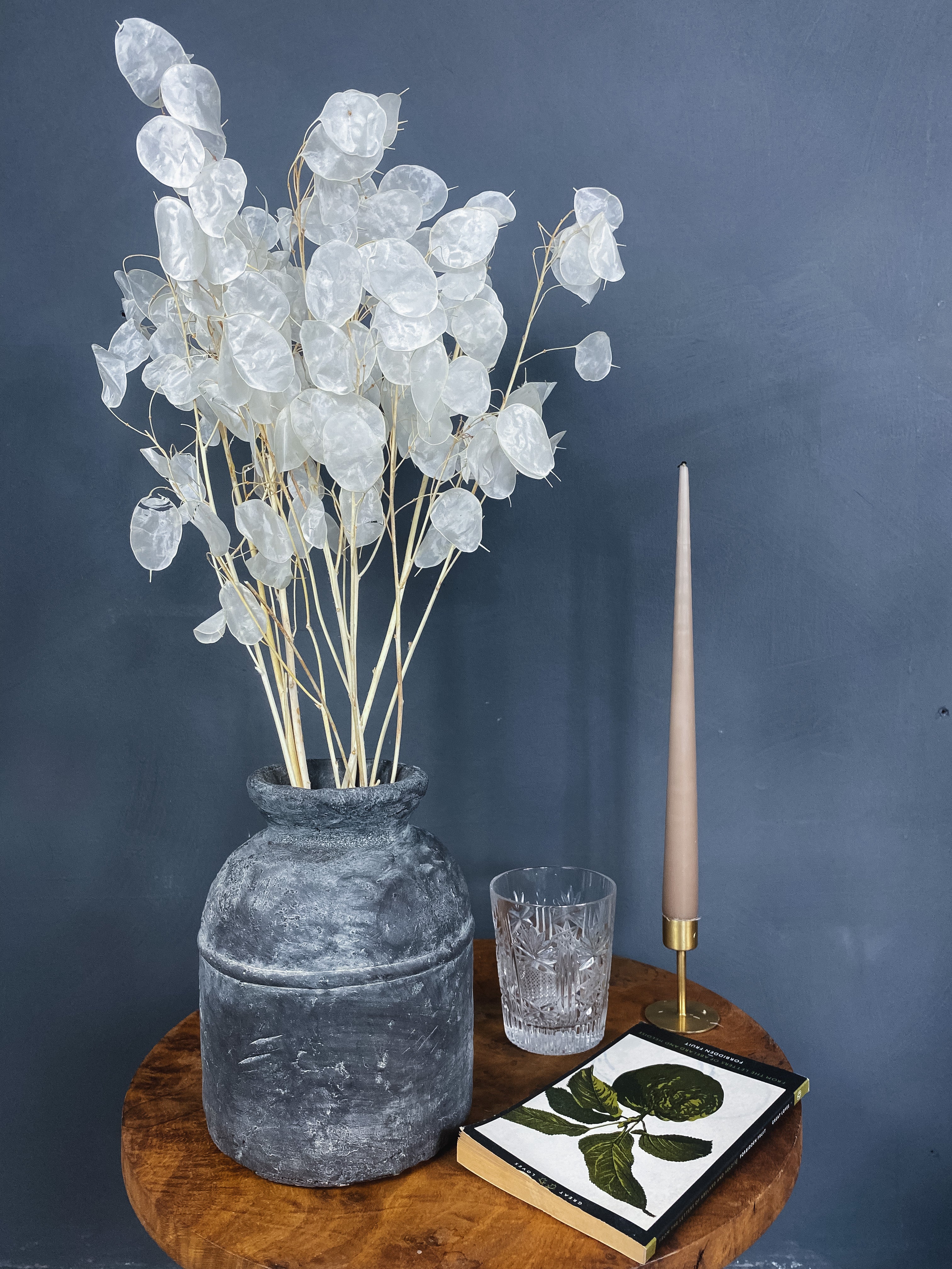 Dried Lunaria Honesty - Image 3