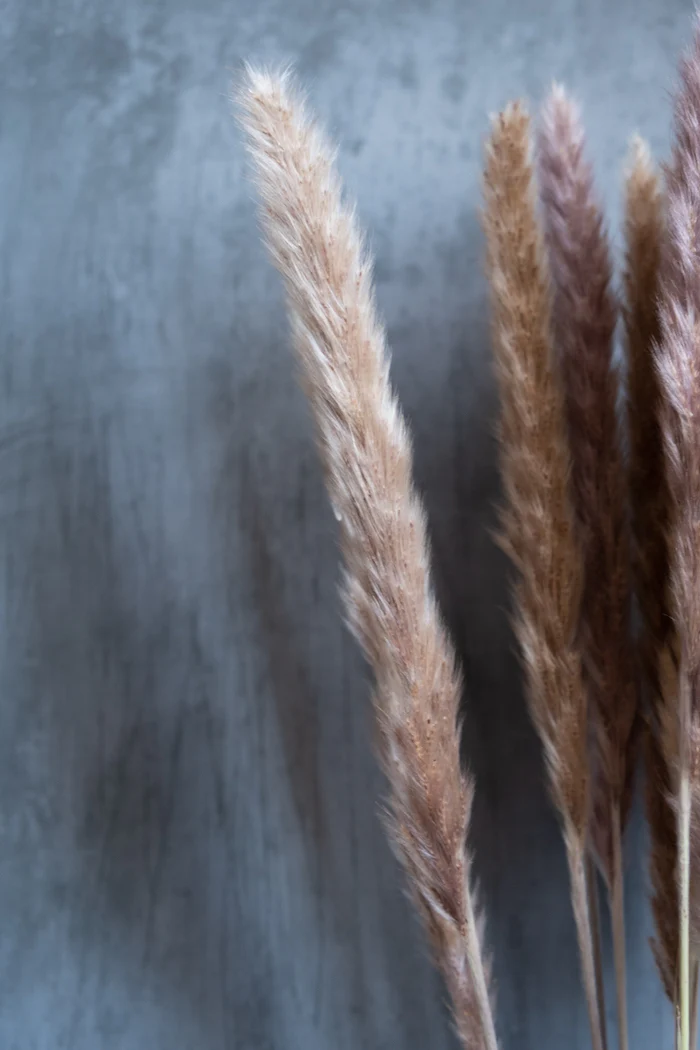 Dried Pampas Grass Bunch - Image 6