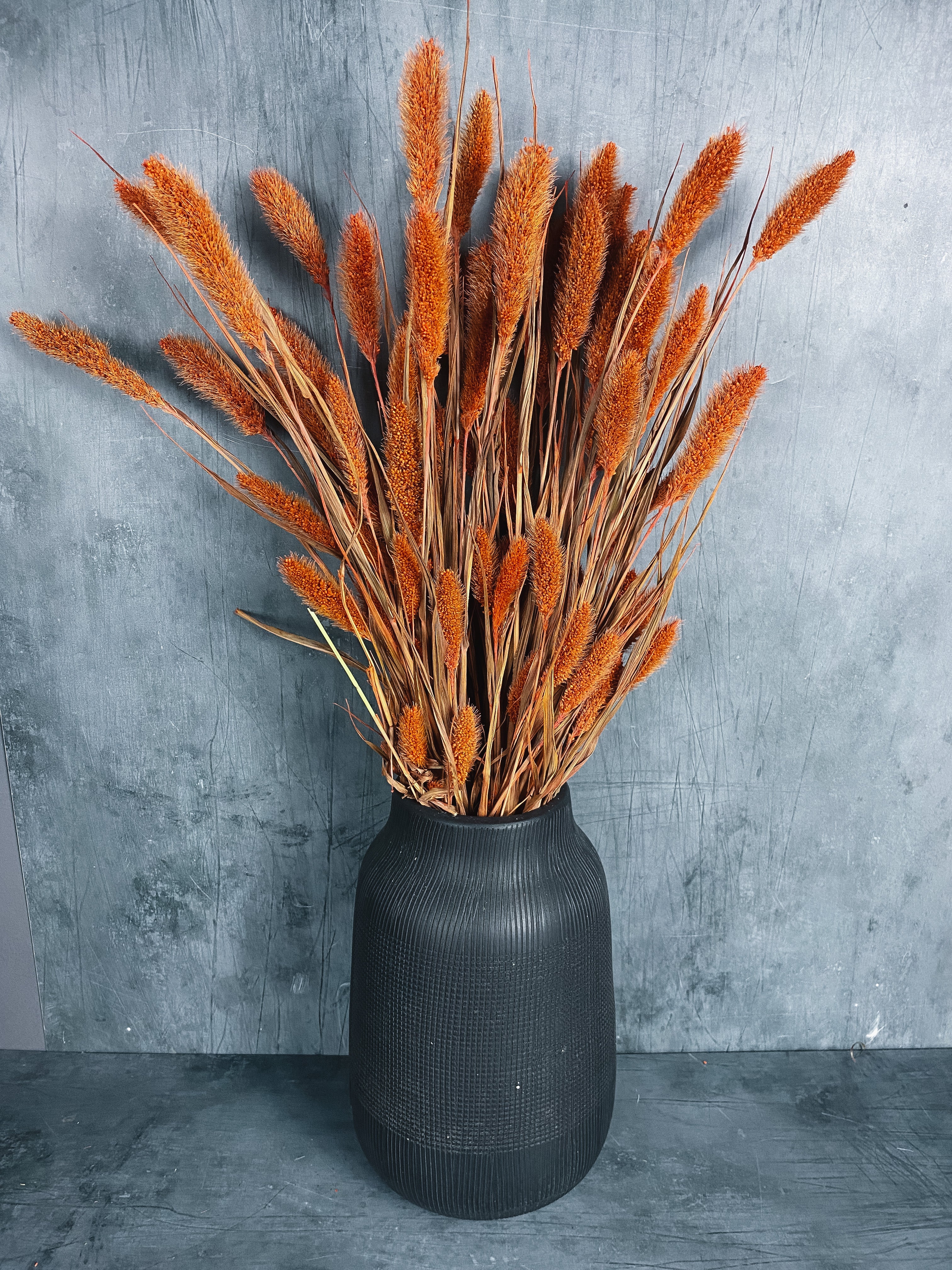 Dried Setaria Bunch - Burnt Orange