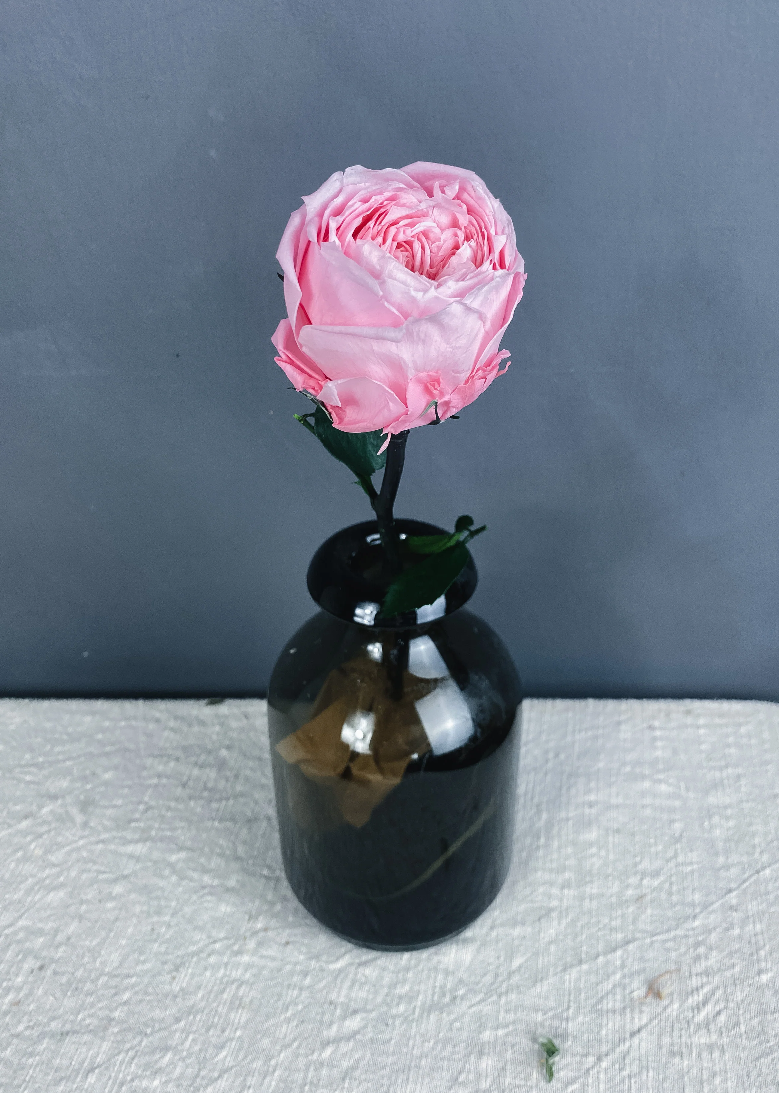 Preserved peony - pink - Image 2